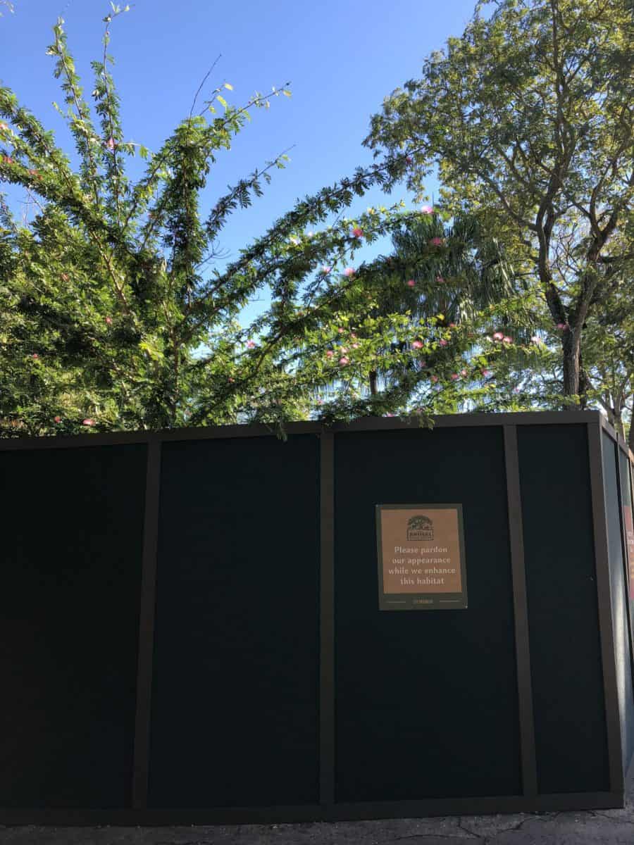 Disney&rsquo;s Animal Kingdom 