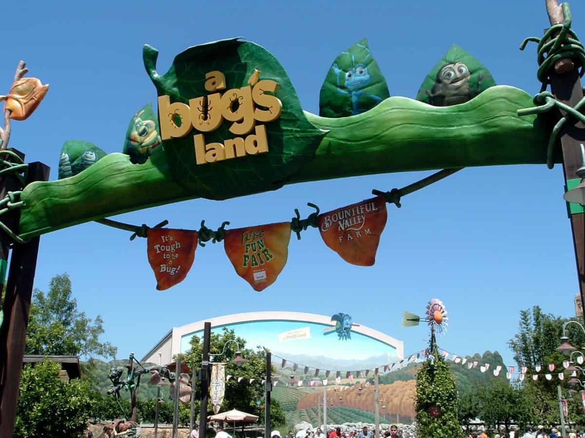 The entrance into the former a bug's land.