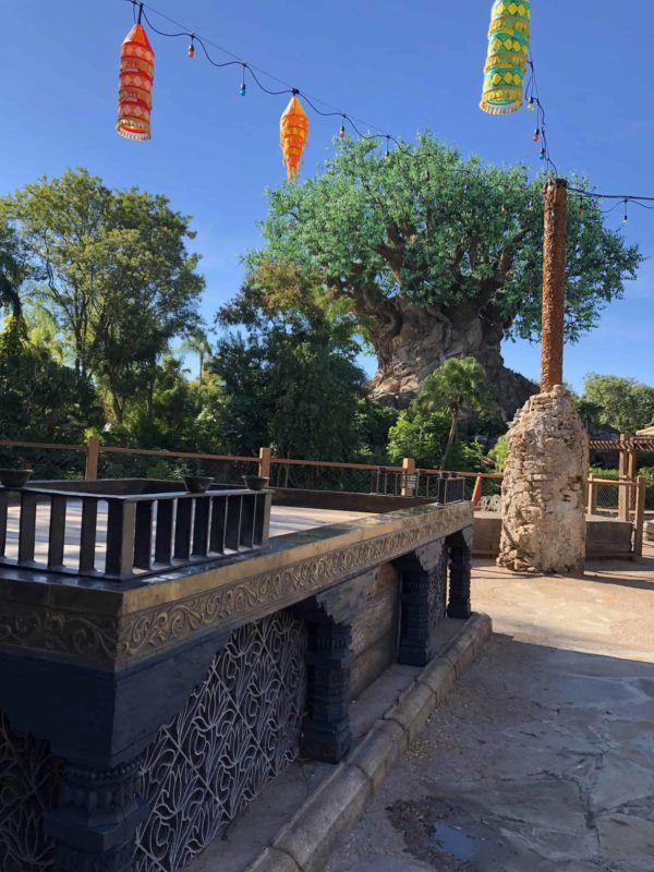 Disney Animal Kingdom Asia Stage