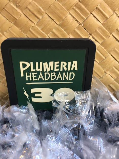 disneyland resort the tropical hideaway restaurant plumeria mickey ears