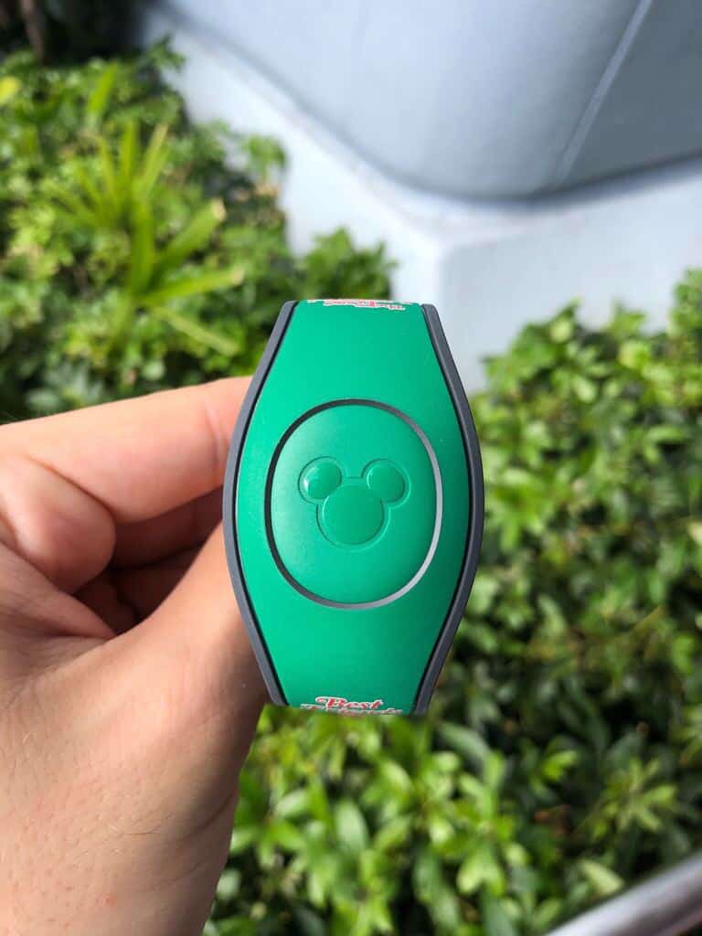 Fox and the Hound Magicband