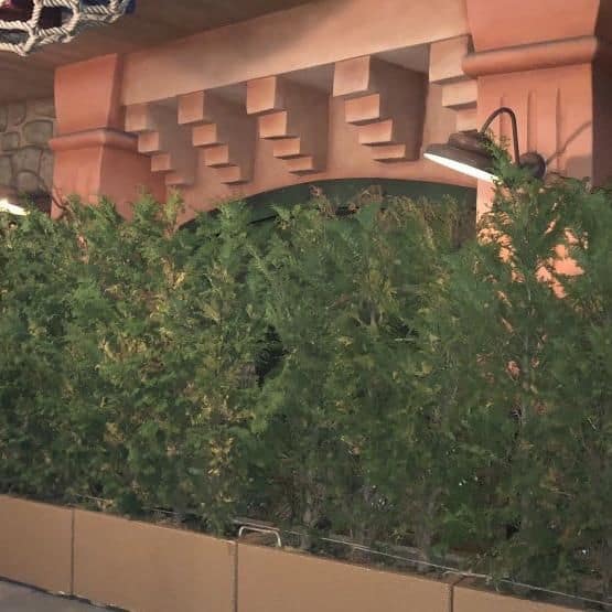Tokyo Disneyland Roped off