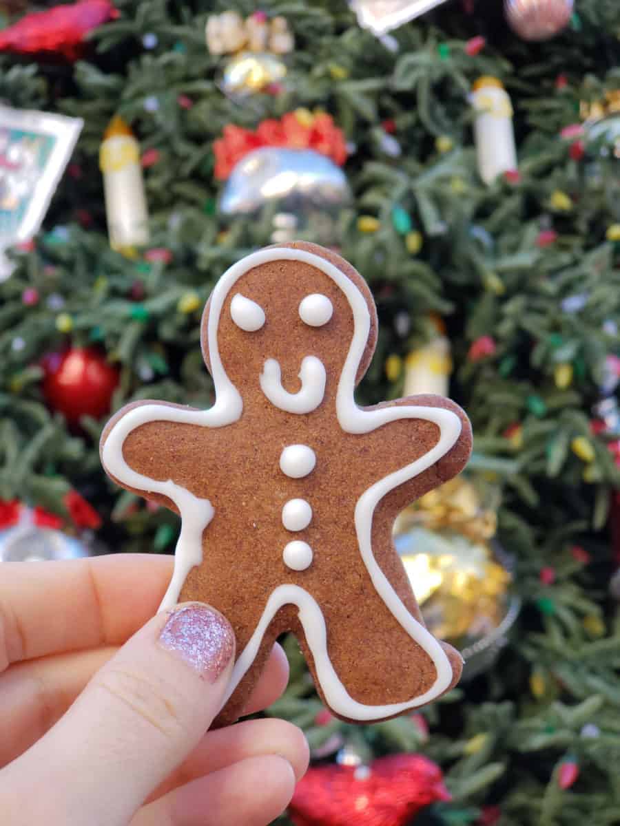disneyland resort seasonal holiday donut