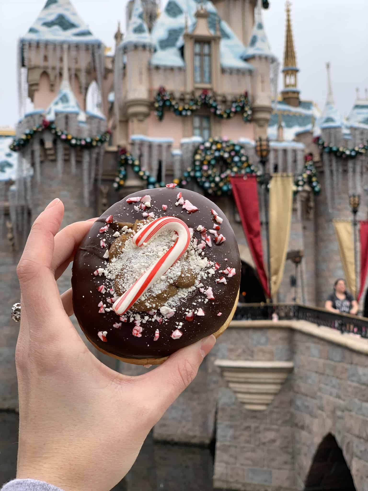 disneyland resort seasonal holiday donut