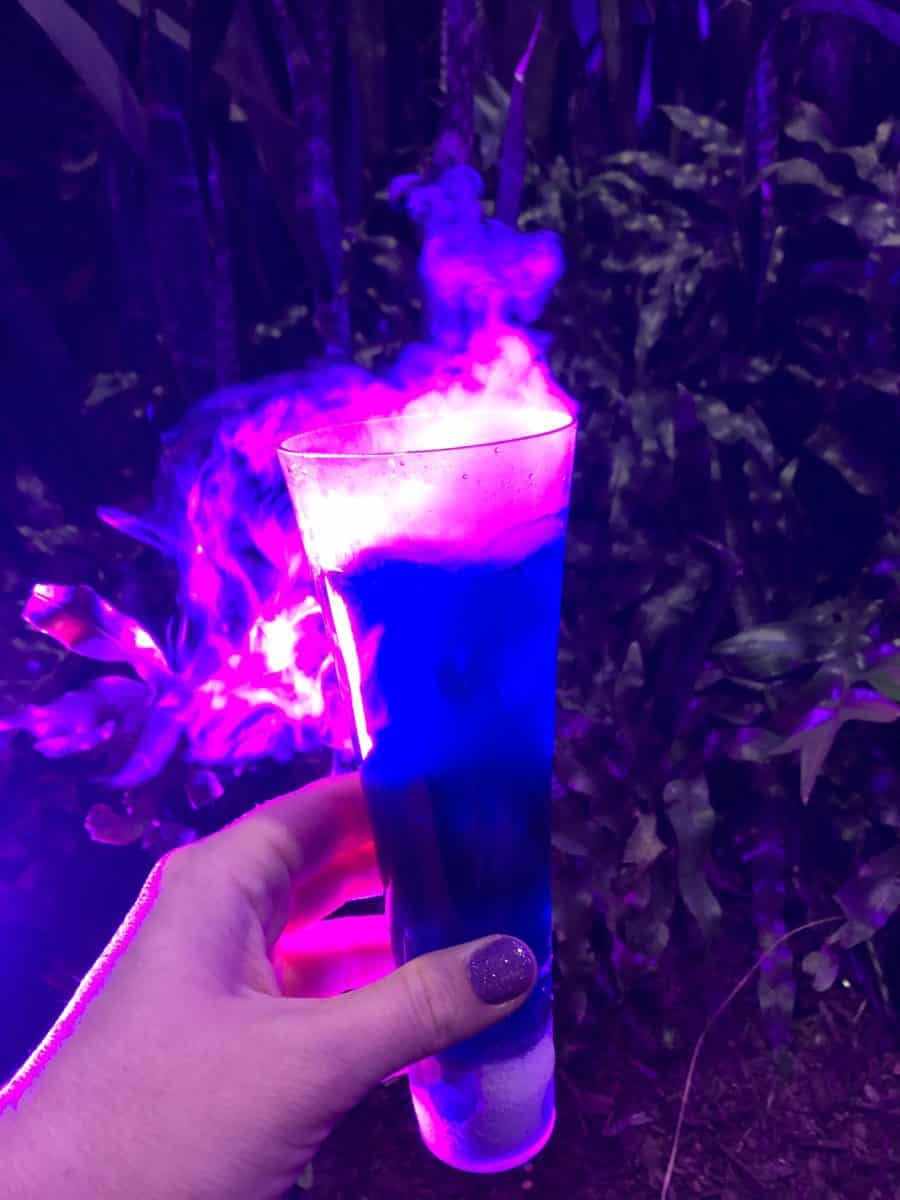 Potion Purple annual passholder event treats