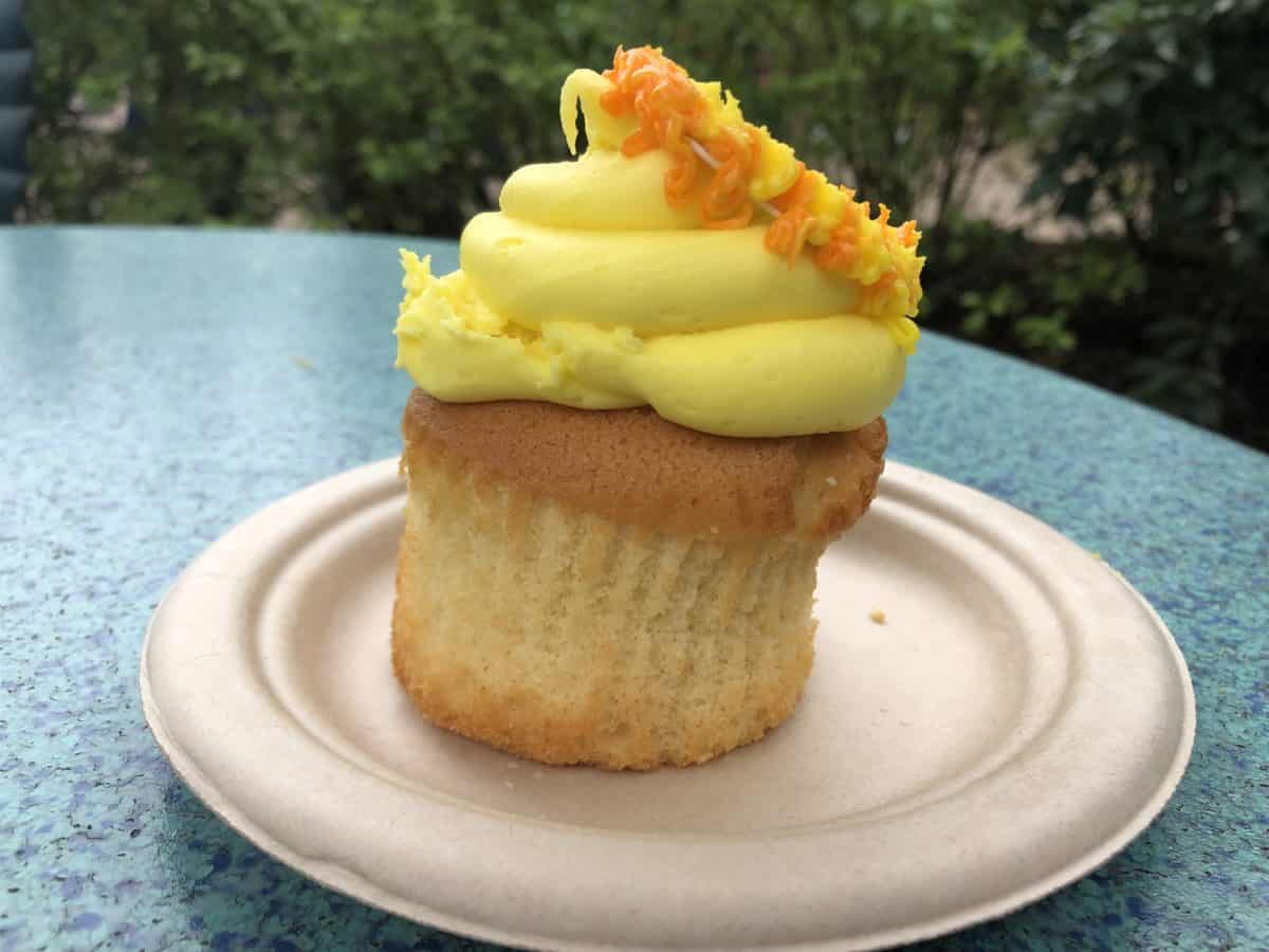 Lion King Cupcake anniversary disneys animal kingdom