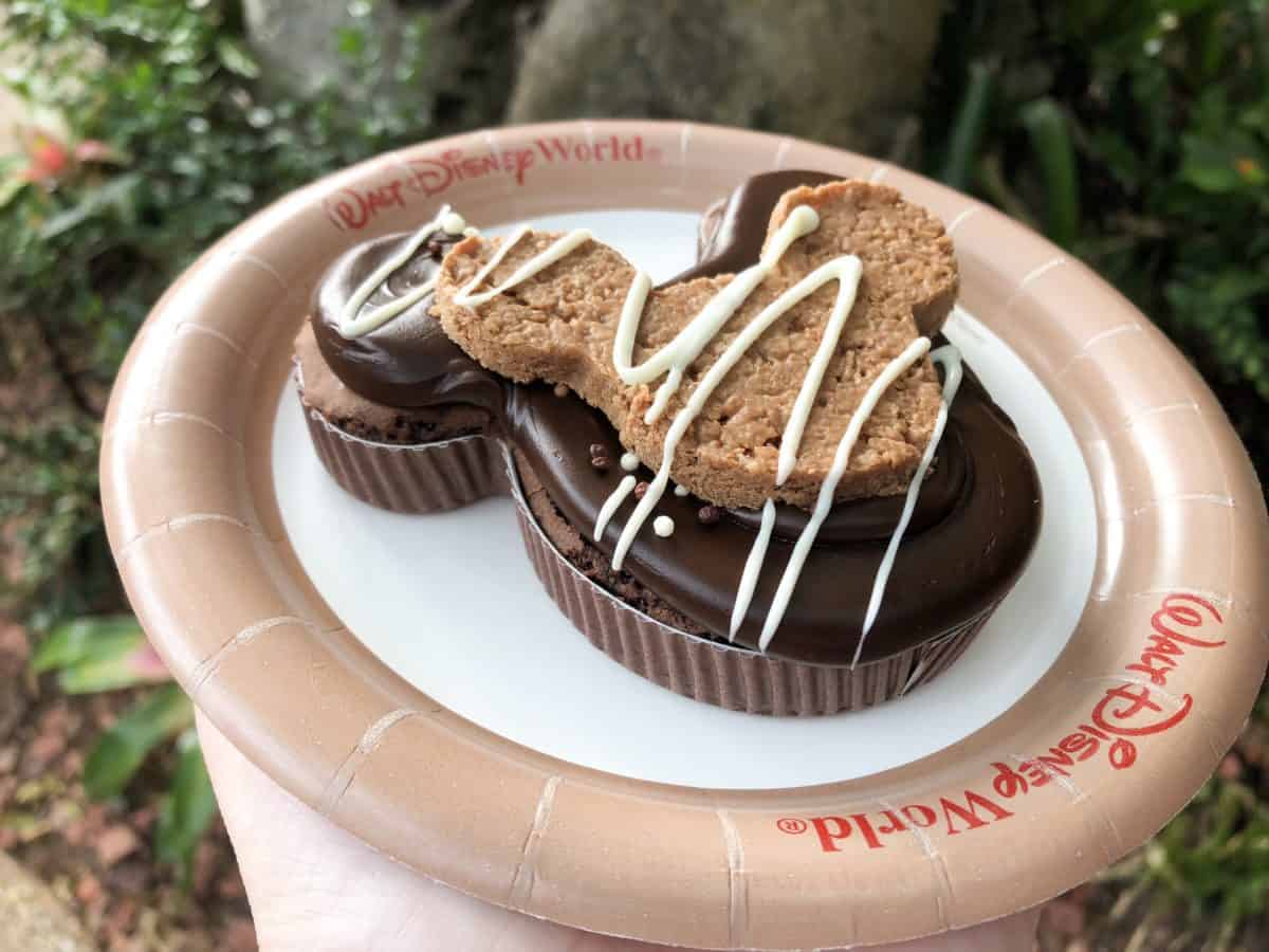 Animal kingdom lodge the Mara okapi brownie