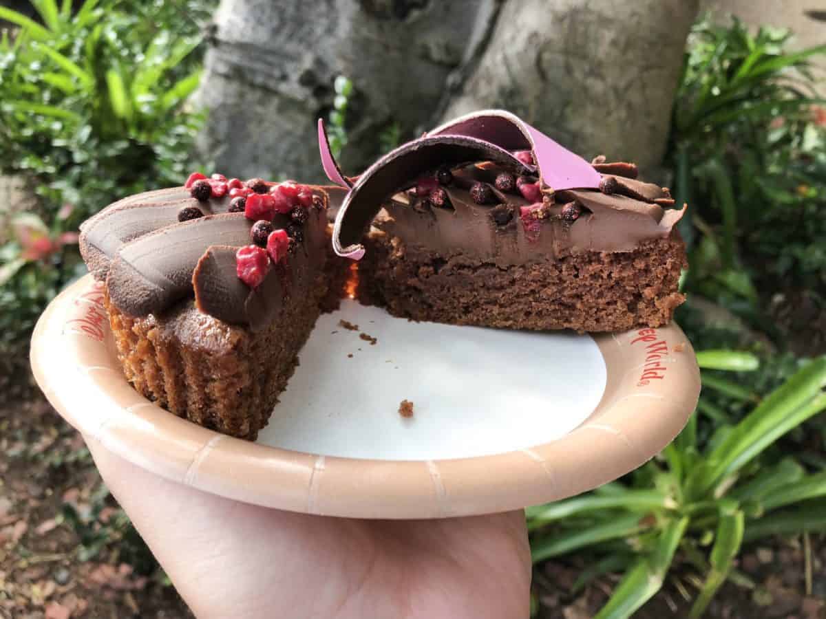 Animal kingdom lodge the Mara flamingo cake cross section