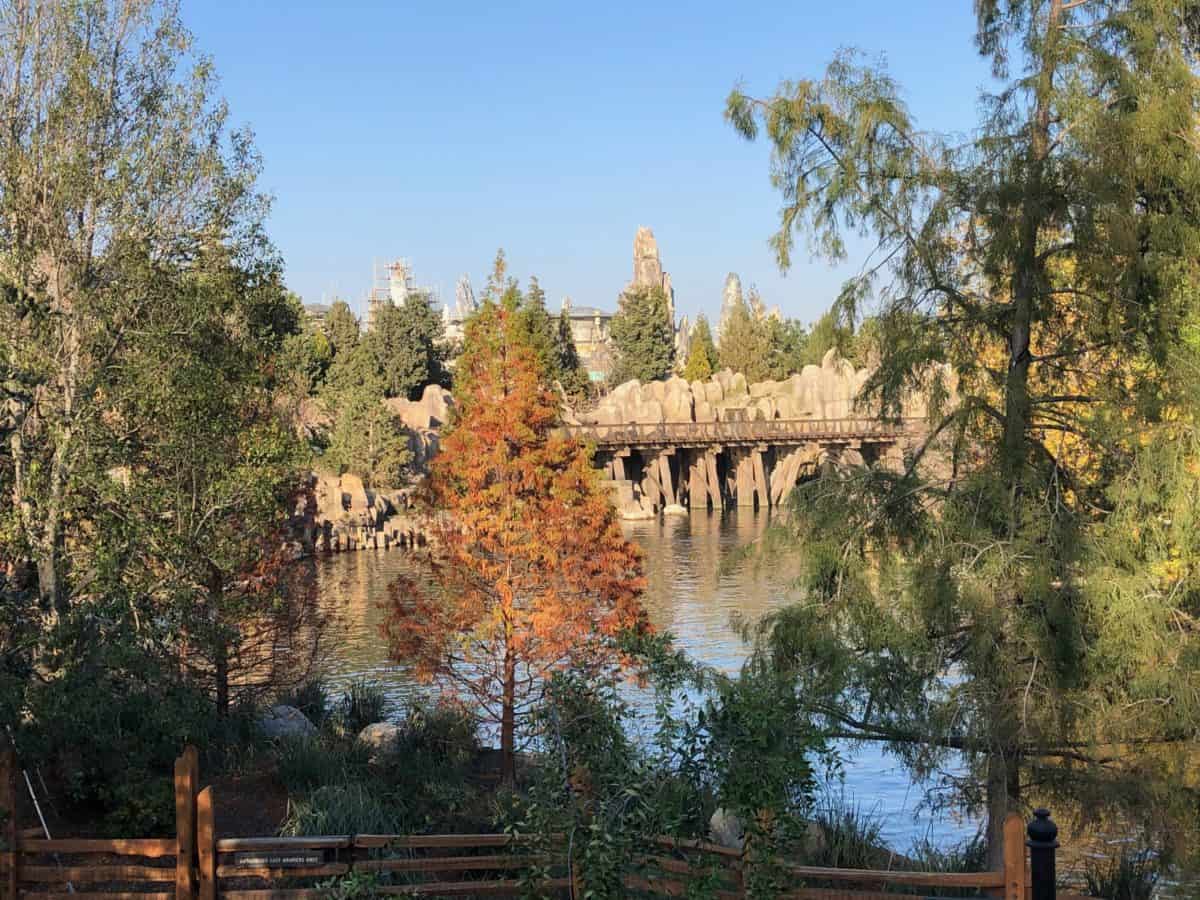 Disneyland Resort 1/11/19 (Construction, Haunted Mansion Merchandise, Galaxy's Edge Outline, ETC.)