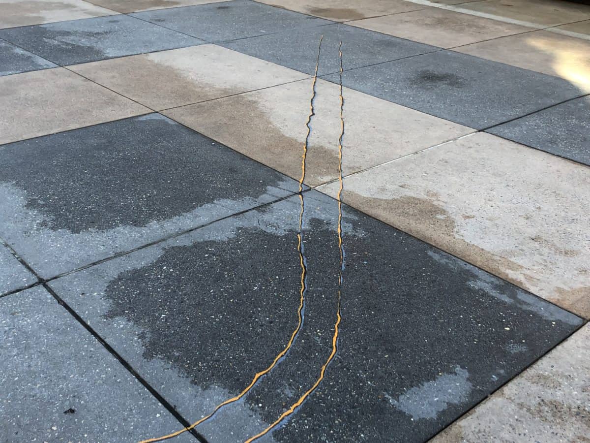 PHOTO REPORT Disney's Hollywood Studios Jack-Jack's Construction Updates Planet Hollywood An Incredible Celebration