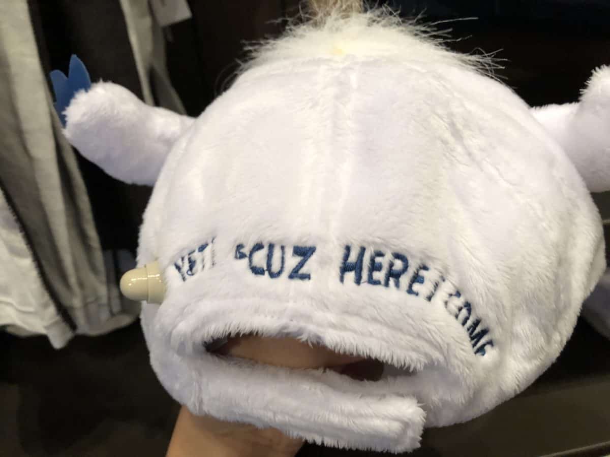 New Expedition Everest Merchandise January 2019