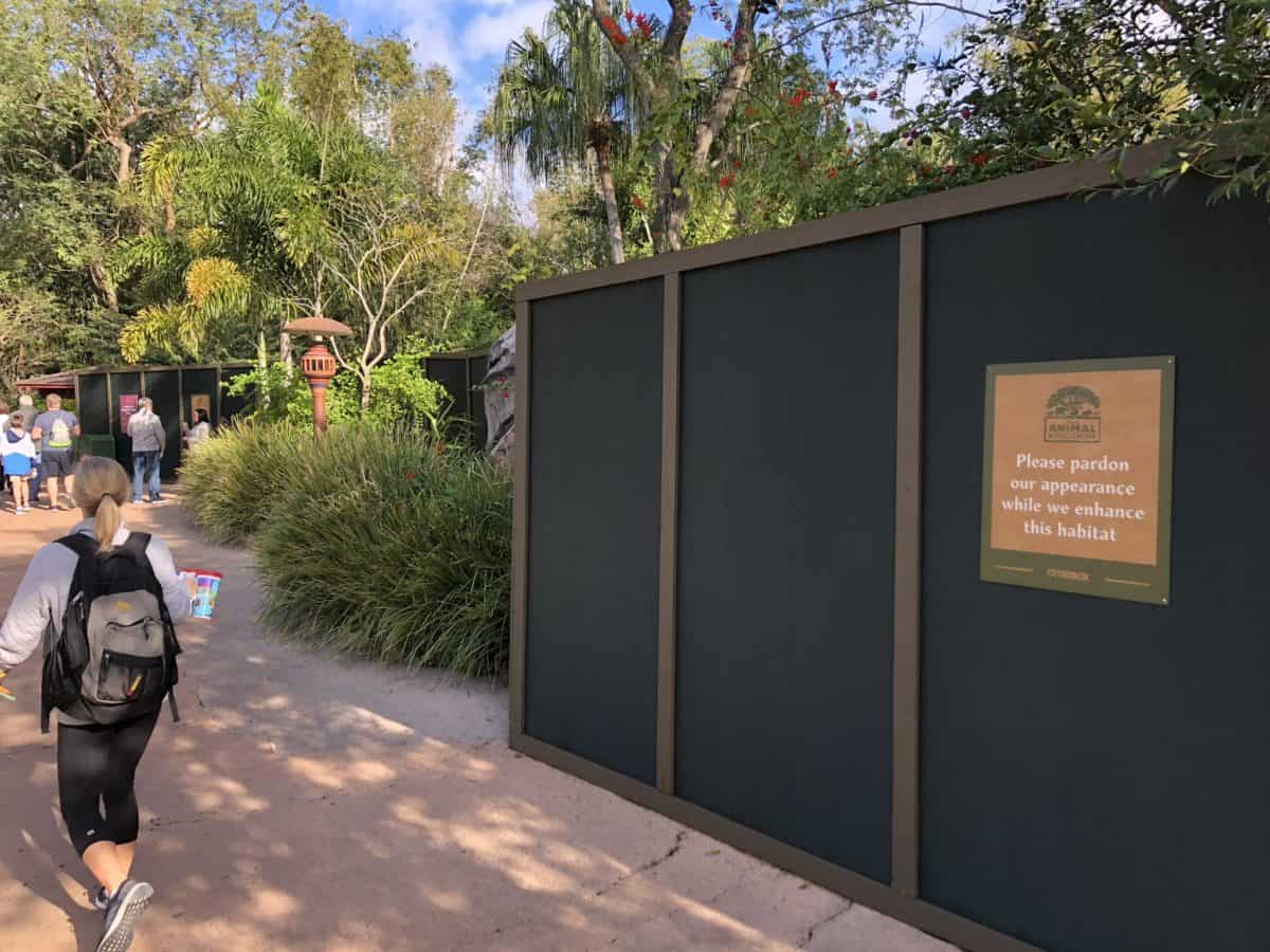 Animal Kingdom 1/15/19 (New Merchandise, Animal Encounters, and More!)
