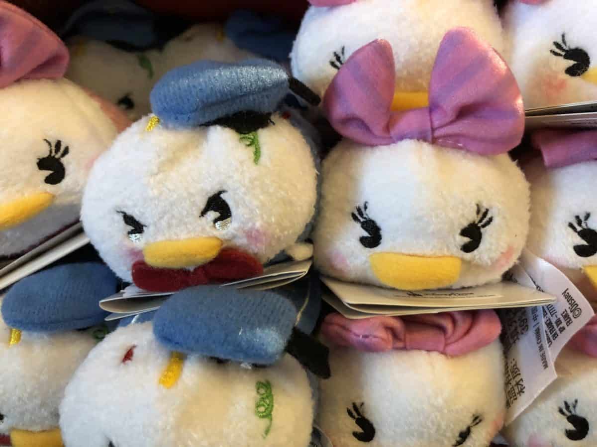 Animal Kingdom 1/15/19 (New Merchandise, Animal Encounters, and More!)