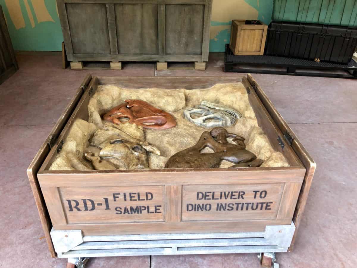 New Wilderness Explorer Post Opens Near Dinosaur at Disney's Animal Kingdom