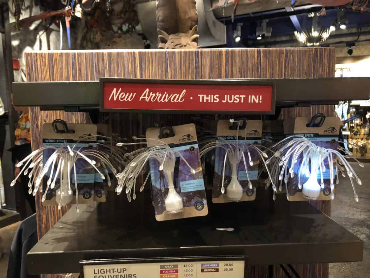 Animal Kingdom 1/15/19 (New Merchandise, Animal Encounters, and More!)