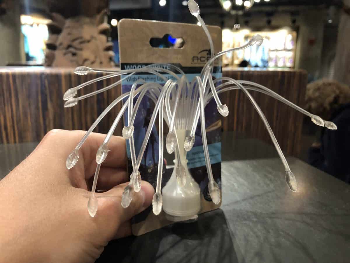 Animal Kingdom 1/15/19 (New Merchandise, Animal Encounters, and More!)