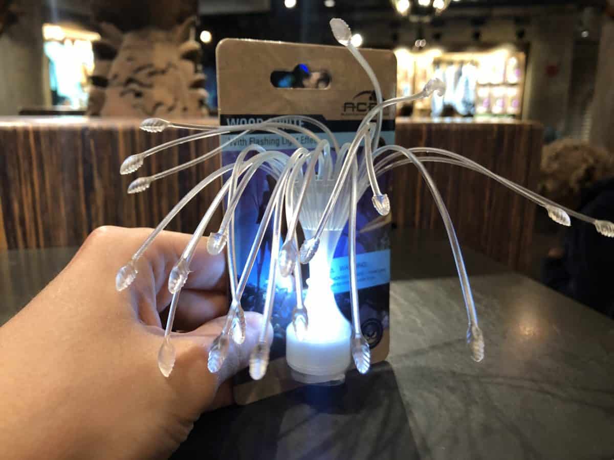 Animal Kingdom 1/15/19 (New Merchandise, Animal Encounters, and More!)