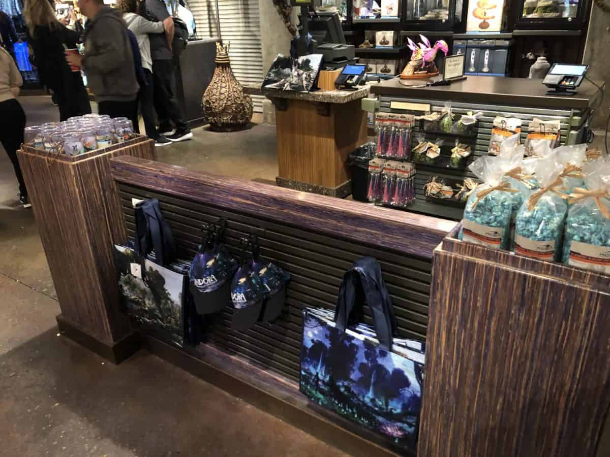 Animal Kingdom 1/15/19 (New Merchandise, Animal Encounters, and More!)