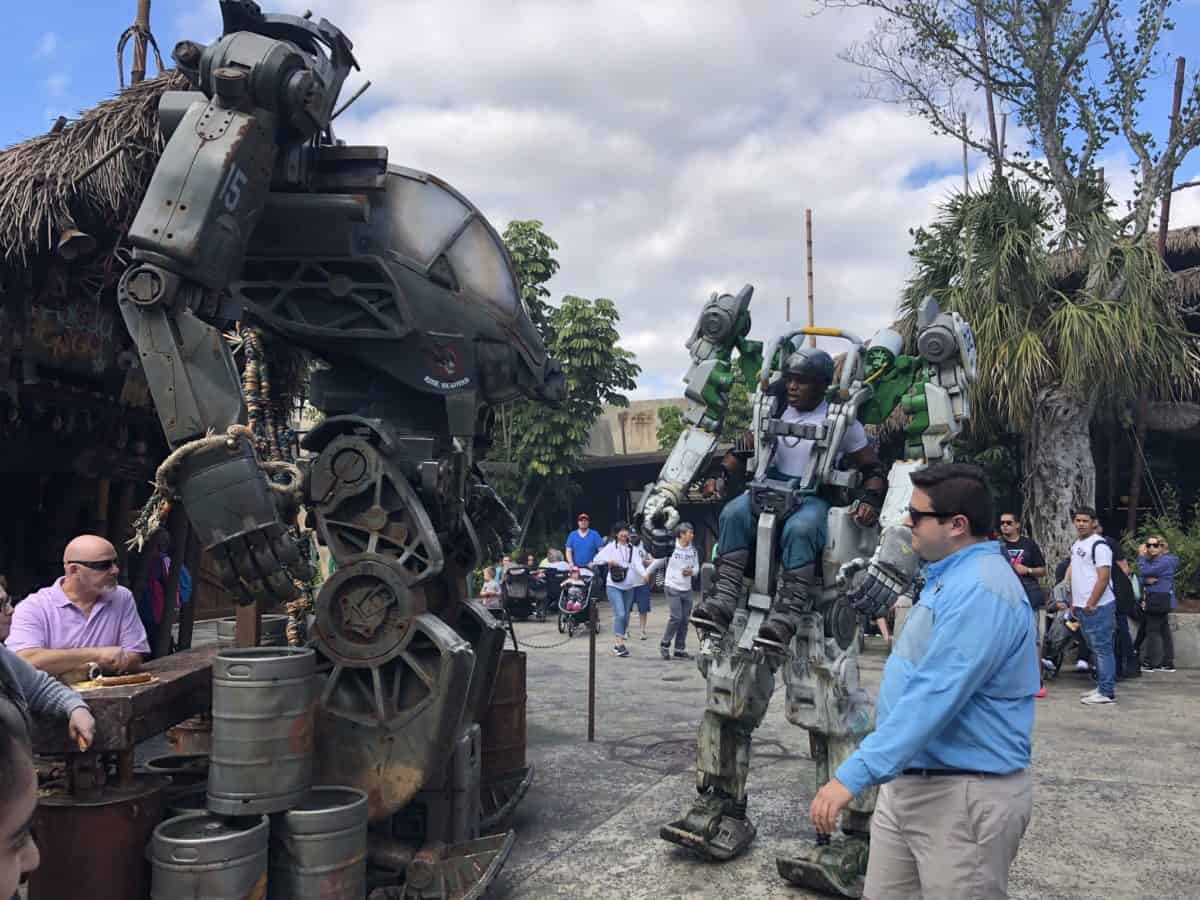 Animal Kingdom 1/15/19 (New Merchandise, Animal Encounters, and More!)