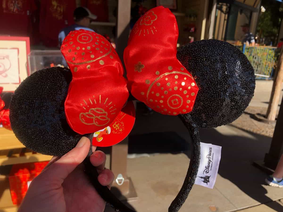 world of disney wdw branded bags january 2019 
