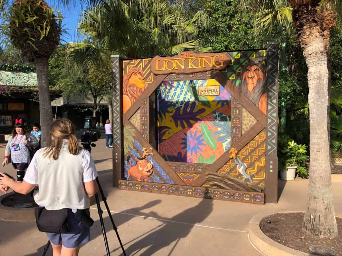 Lion King Photo Op at Disney's Animal Kingdom 2
