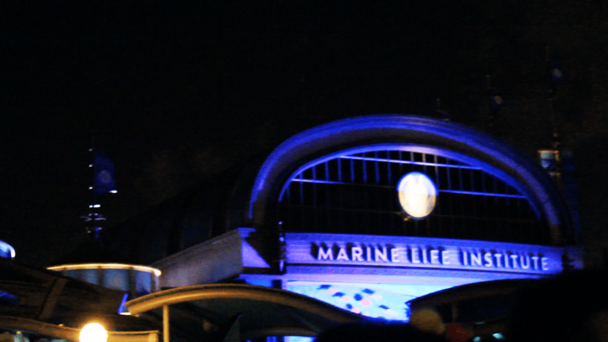 Marine Life Institute Tokyo DisneySea