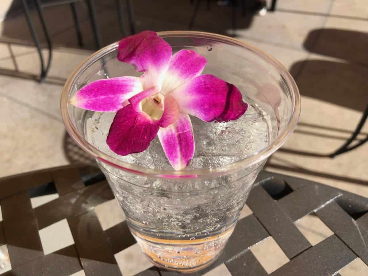 GUIDE Lunar New Year 2019 Disney California Adventure Park