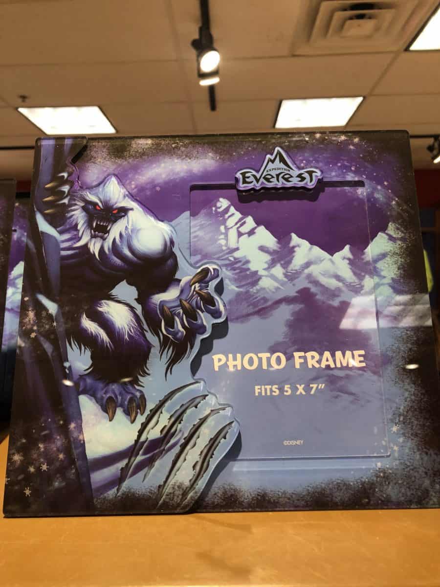 expedition Everest photo frame
