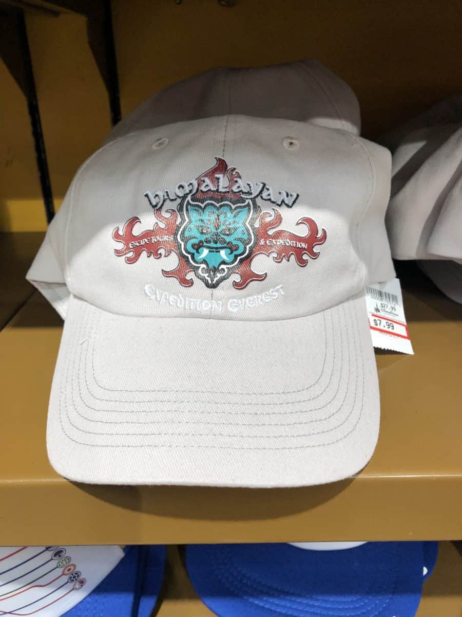 expedition Everest hat