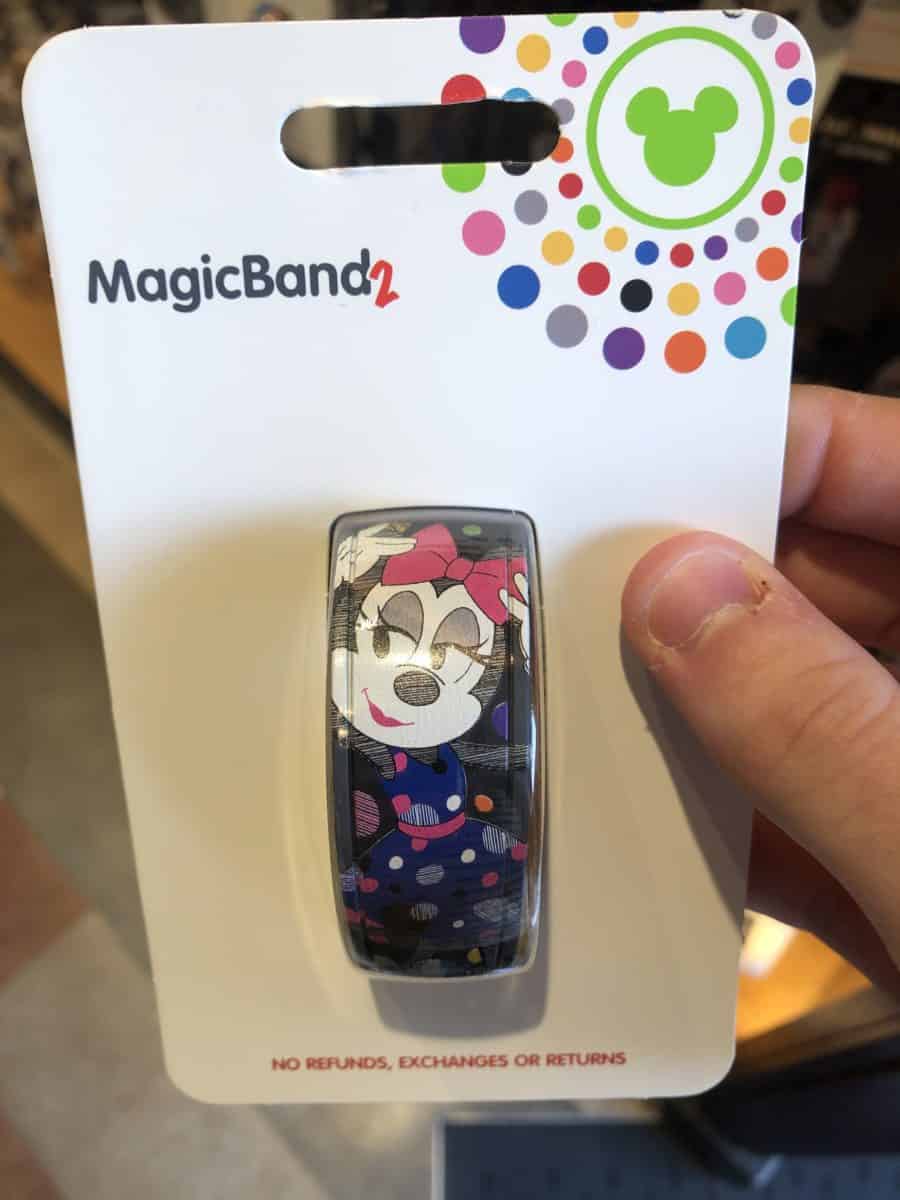 Disney's Hollywood Studios 1/12/18