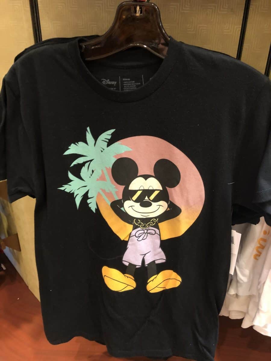 Disney's Hollywood Studios 1/12/18