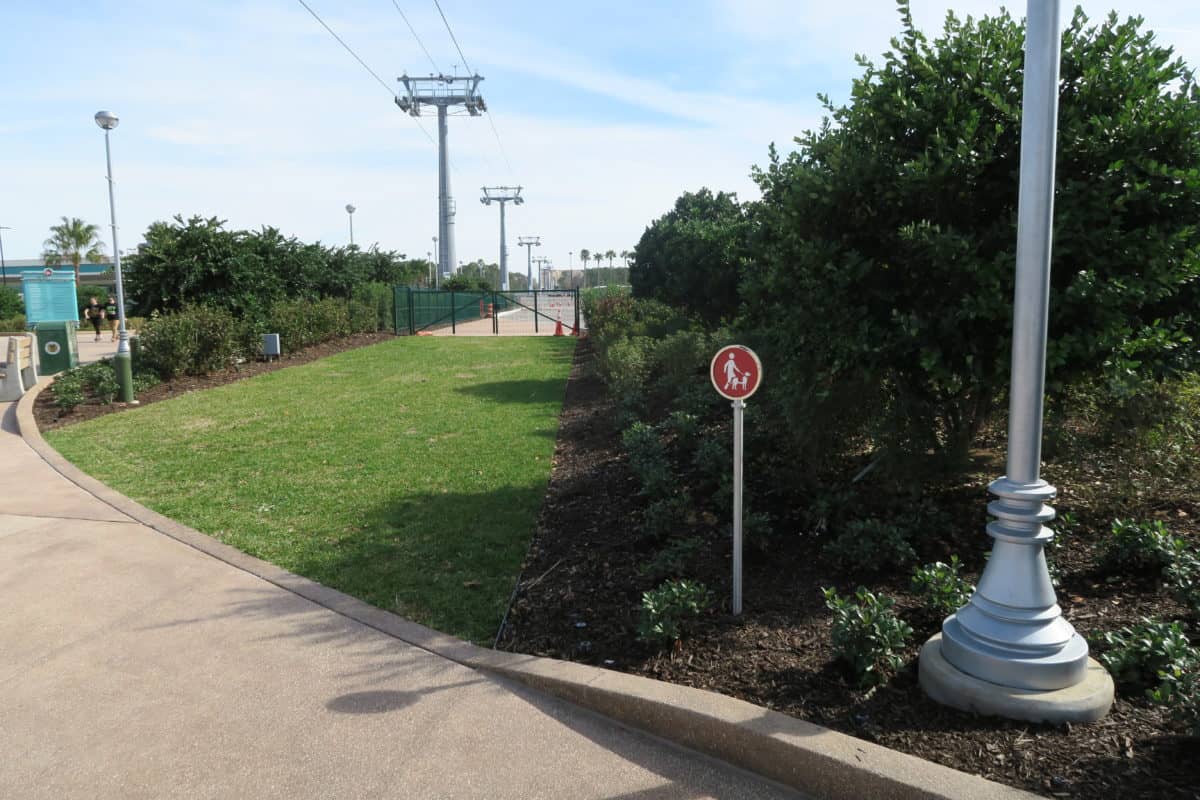 Disney's Hollywood Studios 1/12/18
