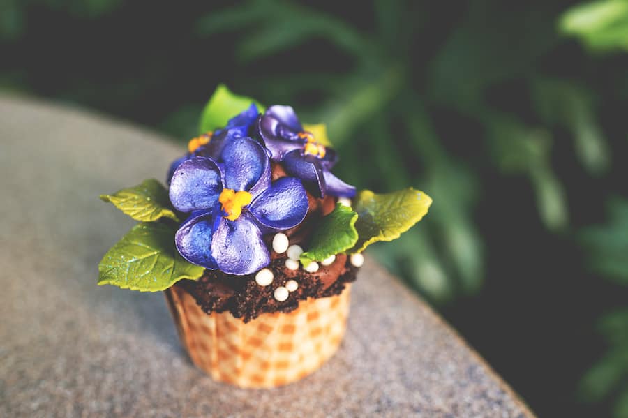 african violet cupcake