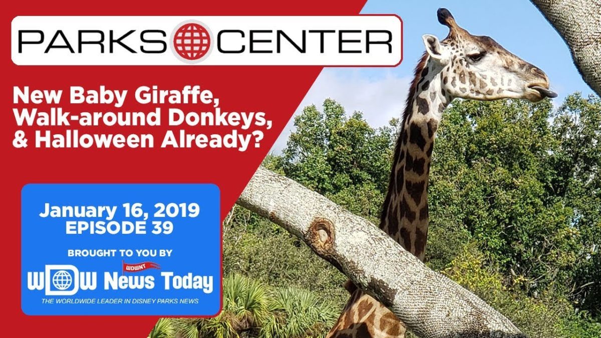 Introducing Pixar SparkShorts