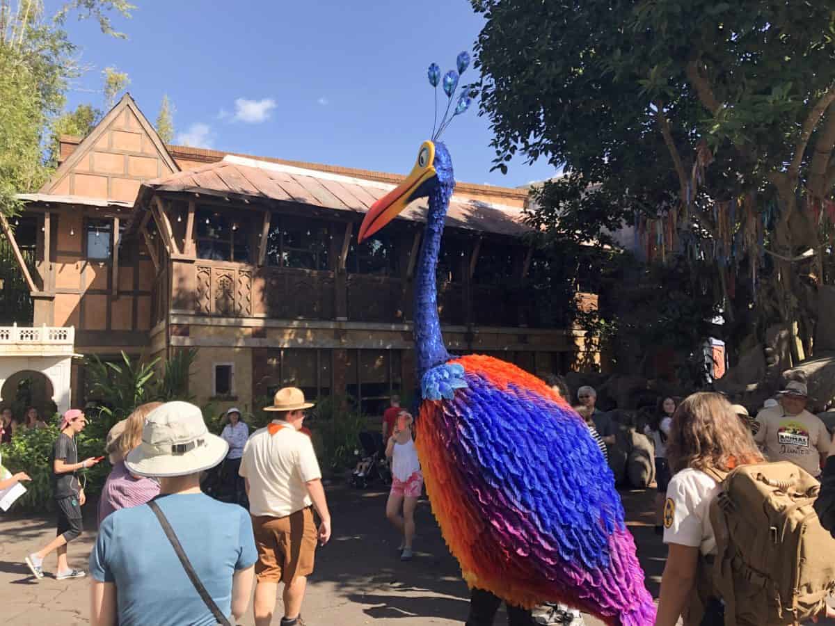 Kevin up character meet and greet