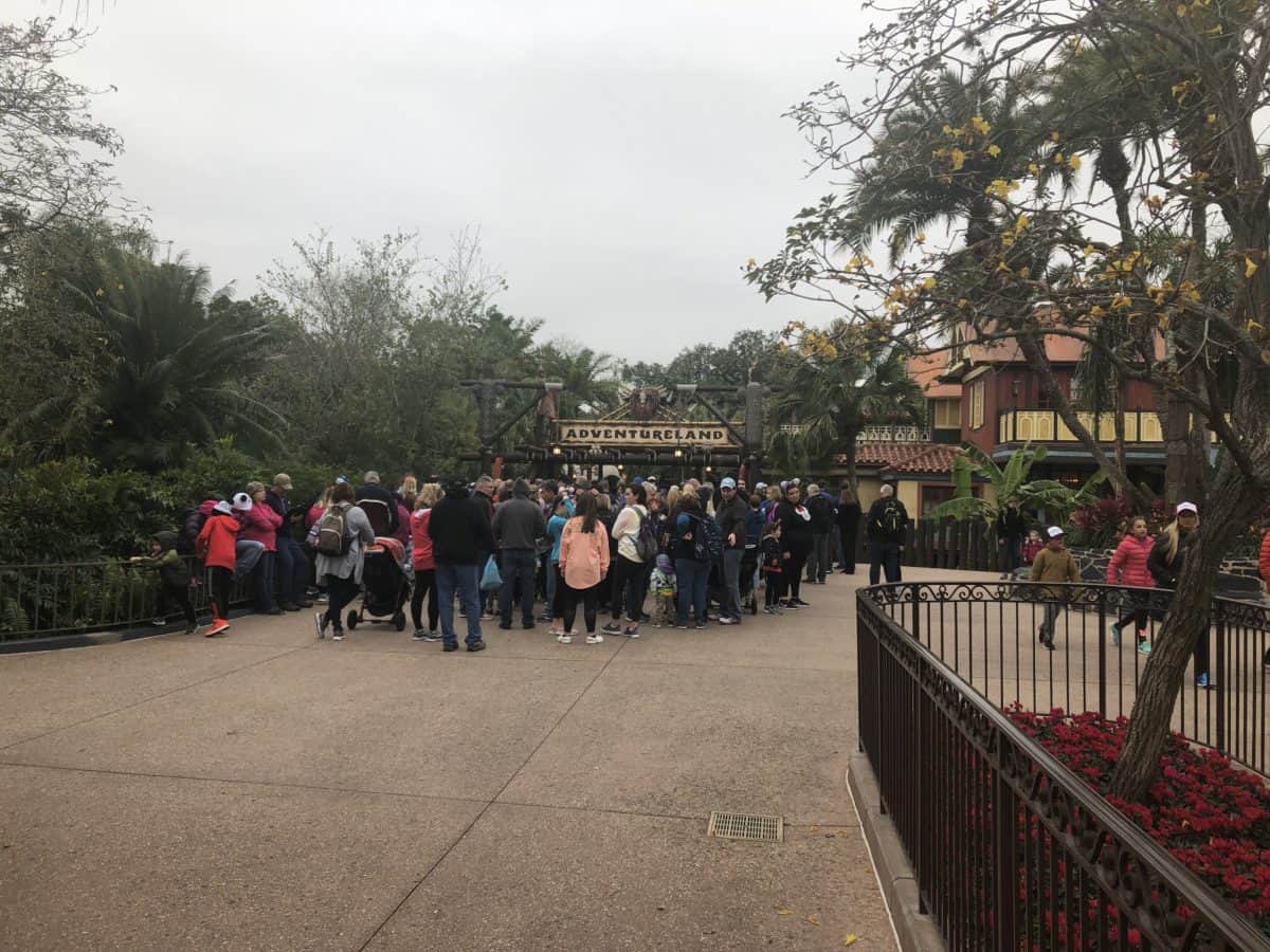 Magic kingdom rope drop