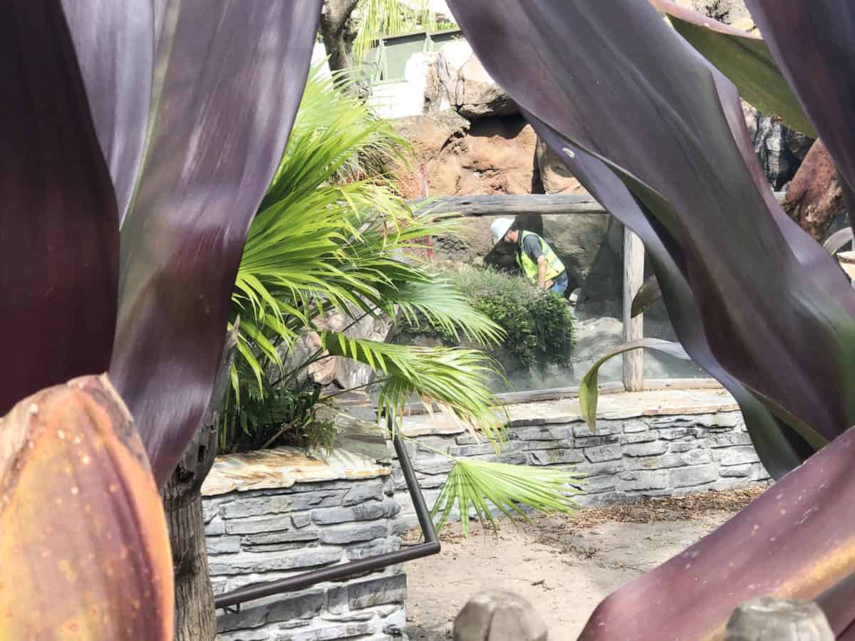 Otter exhibit construction