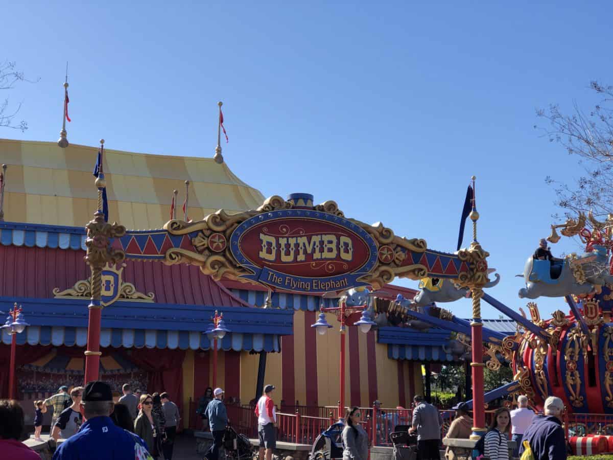 Timothy Mouse is missing 