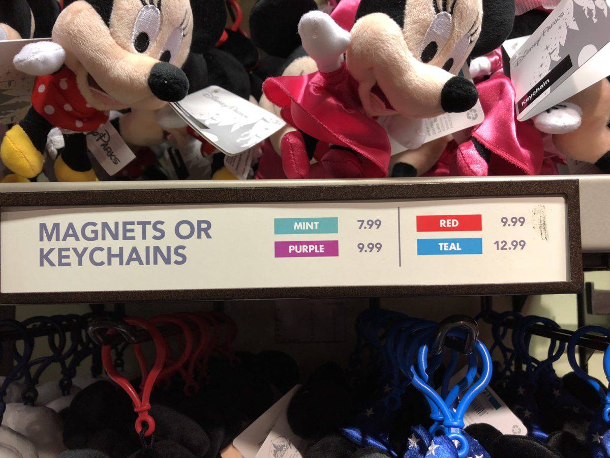 PHOTO REPORT Animal Kingdom Otter Exhibit Construction Kali River Rapids and More