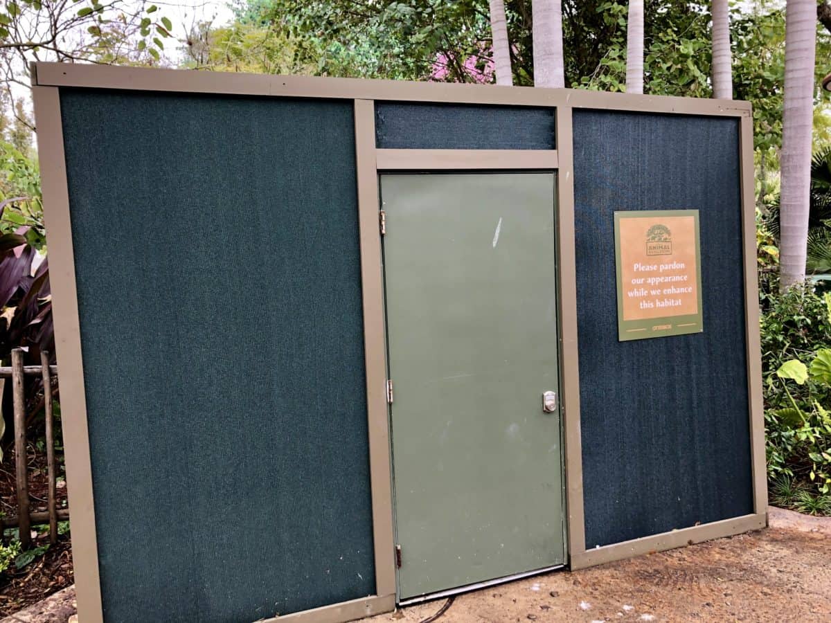 PHOTO REPORT Animal Kingdom Otter Exhibit Construction Kali River Rapids and More