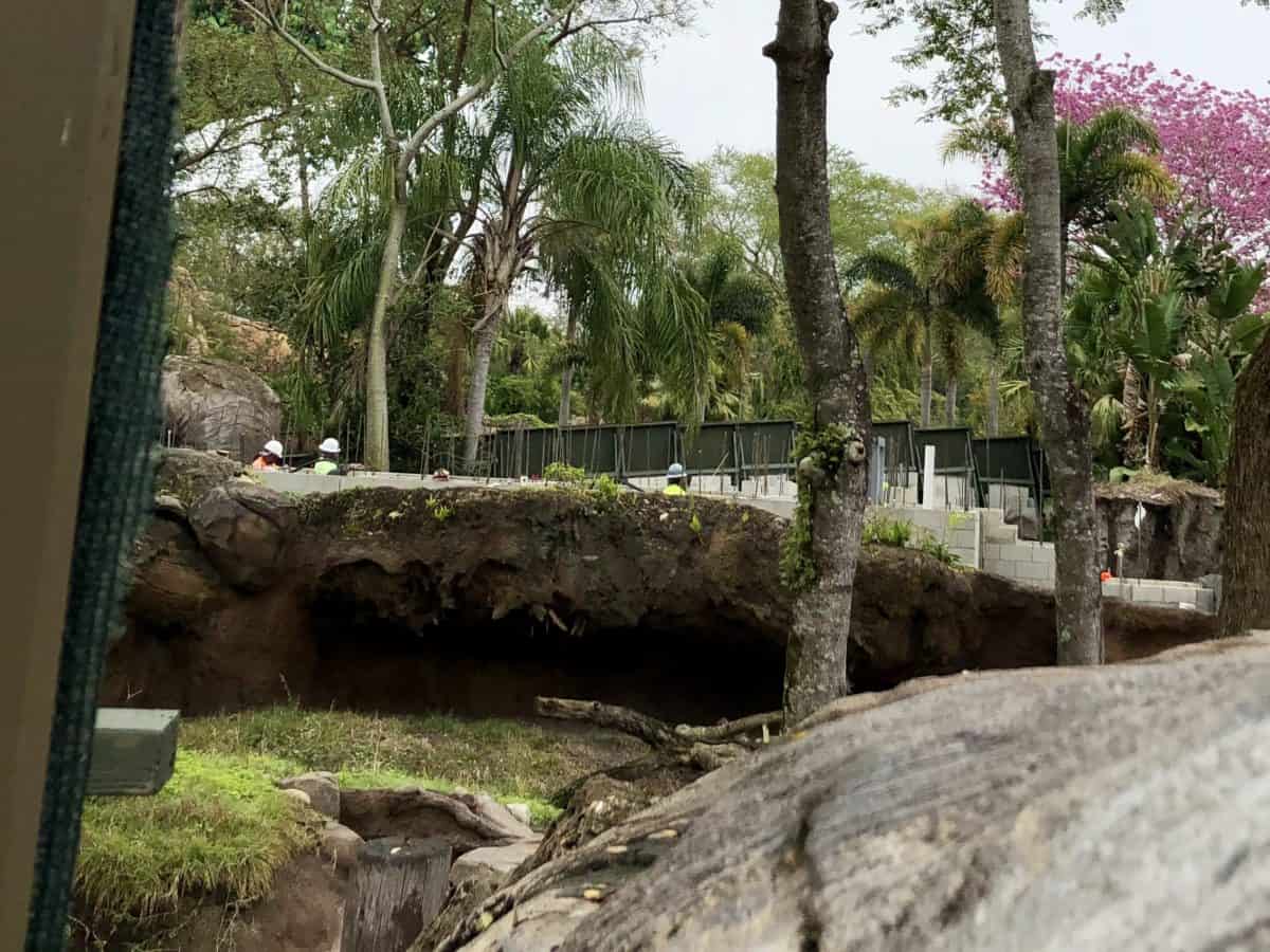 PHOTO REPORT Animal Kingdom Otter Exhibit Construction Kali River Rapids and More