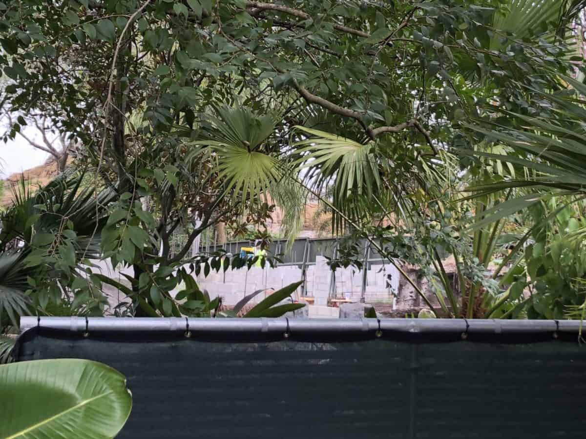 PHOTO REPORT Animal Kingdom Otter Exhibit Construction Kali River Rapids and More