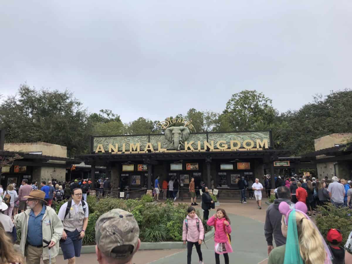 PHOTO REPORT Animal Kingdom Otter Exhibit Construction Kali River Rapids and More