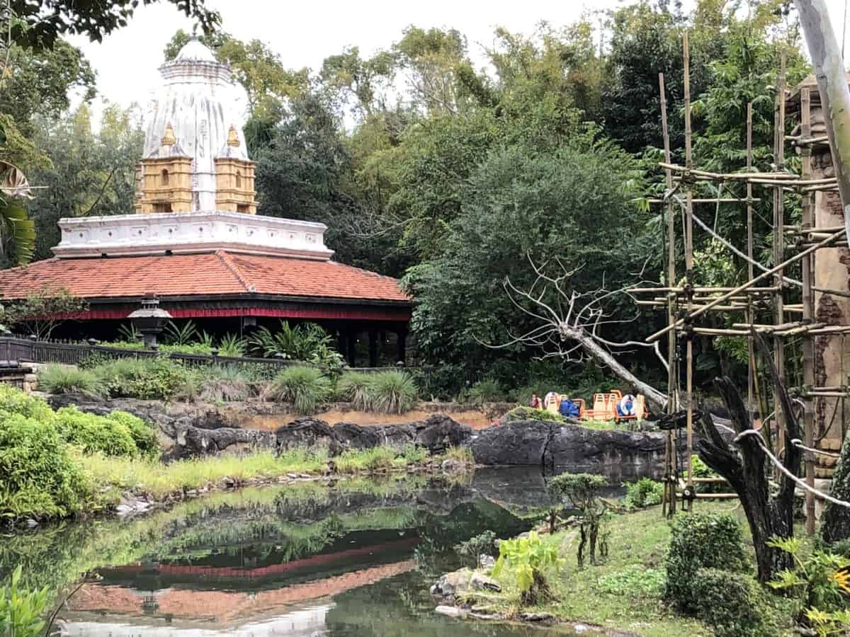 PHOTO REPORT Animal Kingdom Otter Exhibit Construction Kali River Rapids and More