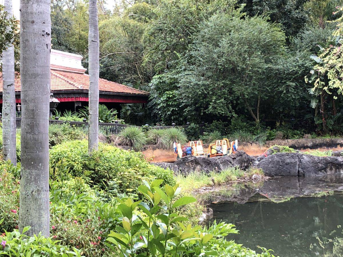 PHOTO REPORT Animal Kingdom Otter Exhibit Construction Kali River Rapids and More