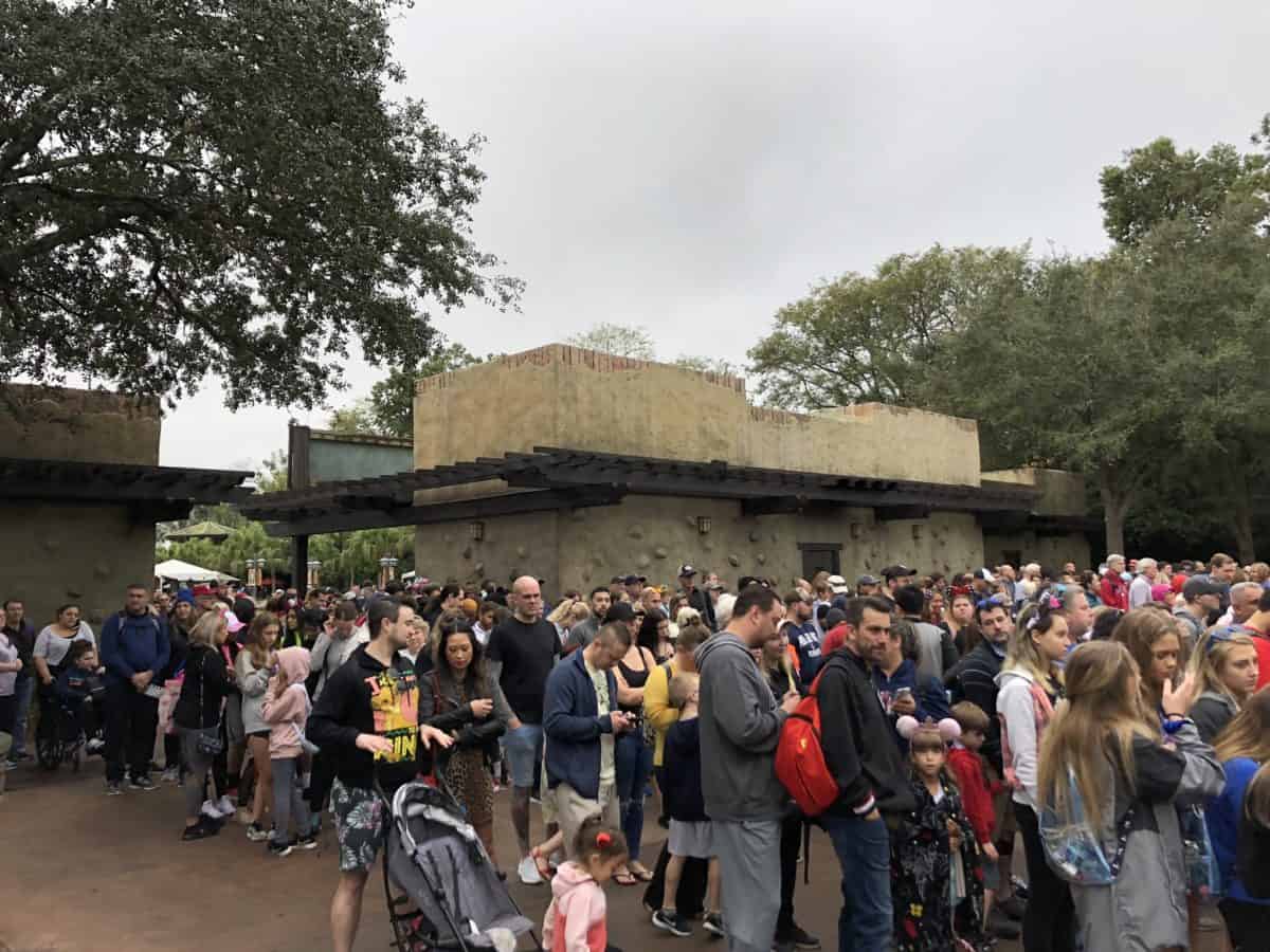 PHOTO REPORT Animal Kingdom Otter Exhibit Construction Kali River Rapids and More