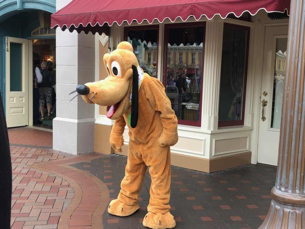 PHOTO REPORT Disneyland Park Steamboat Willie Popcorn Bucket Castle Construction Characters