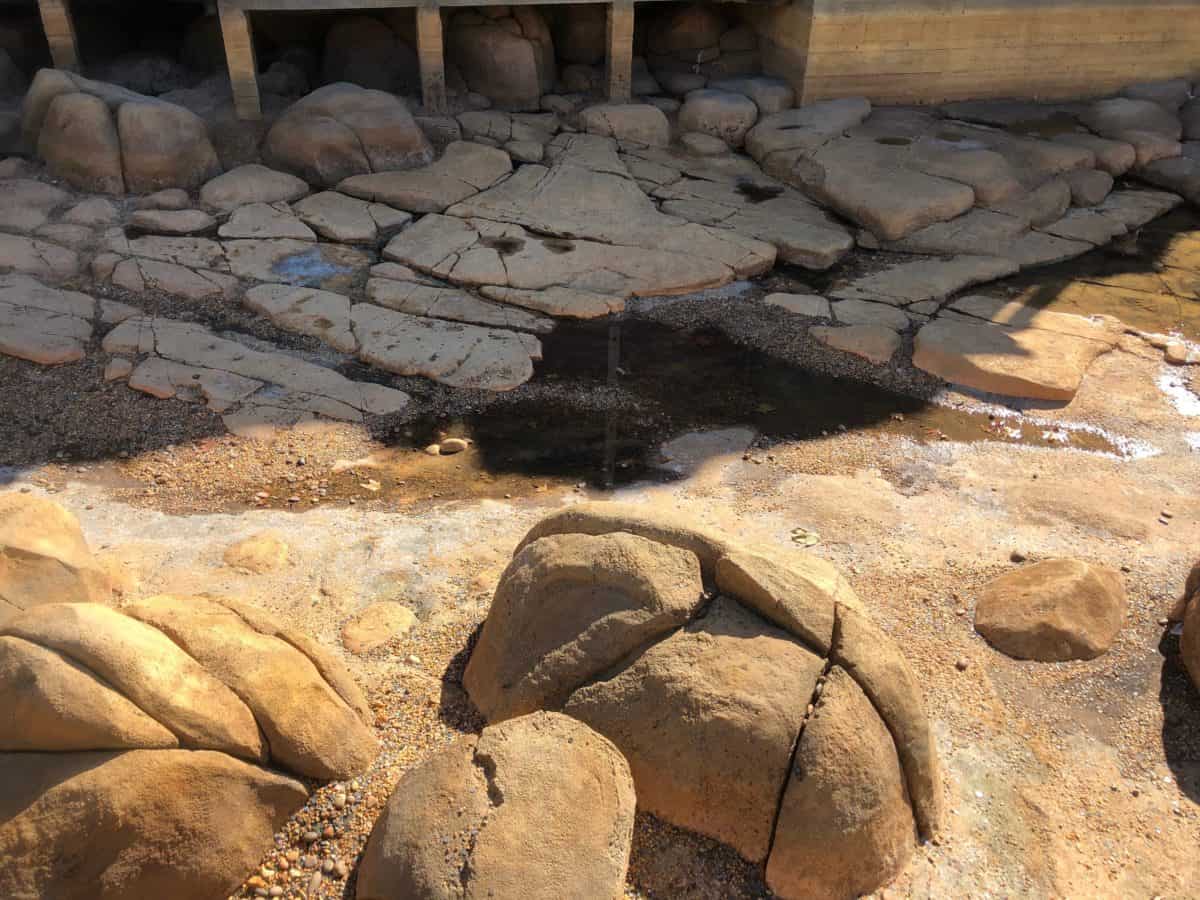 PHOTO REPORT Disney California Adventure Lunar Festival Construction Updates jessie's critter carousel