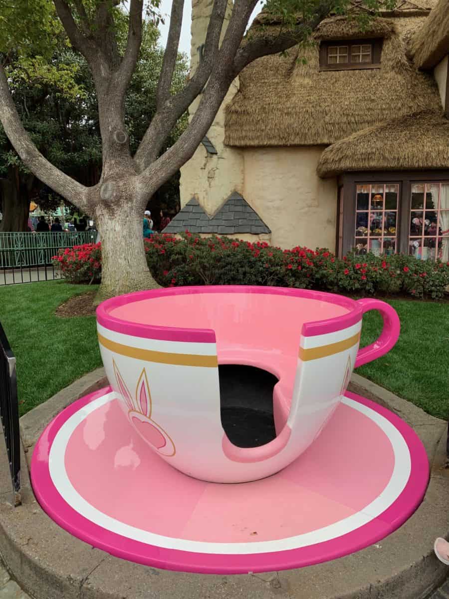 Disneyland Park Tea Cup Photo Op