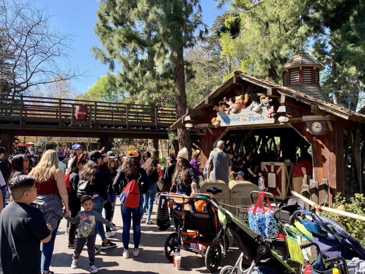 Disneyland Resort Photo Report